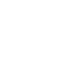 Austrumu robeža logo